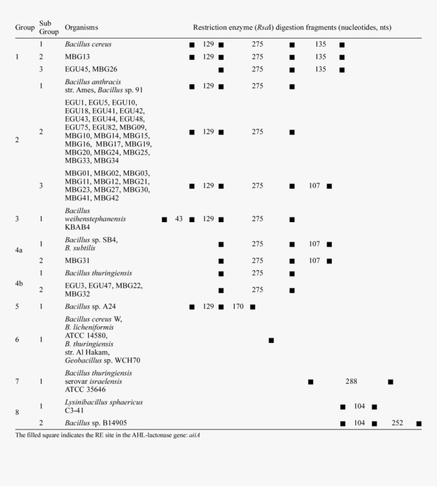 Document, HD Png Download