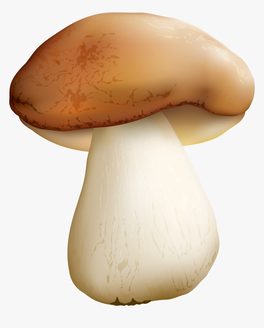Clip Art Mushroom Png - Clipart Mushroom Png, Transparent Png