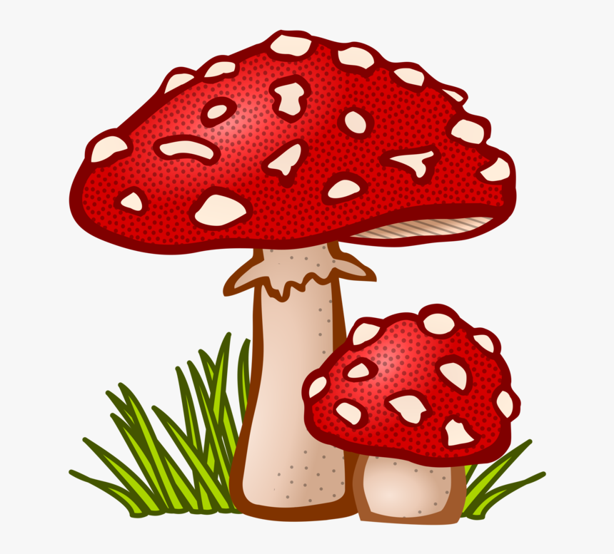 Free Cliparts Mushroom - Mushroom Clipart, HD Png Download