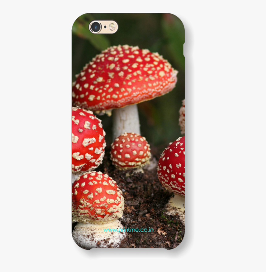 Amanita Muscaria Iphone, HD Png Download