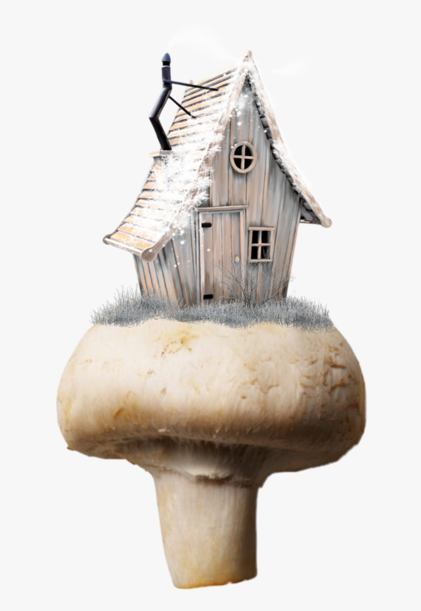 Image - Transparent Mushroom Png, Png Download