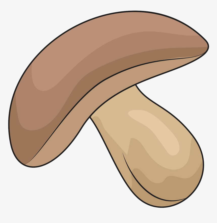 Clip Art Mushroom Clipart - Mushroom Clipart, HD Png Download
