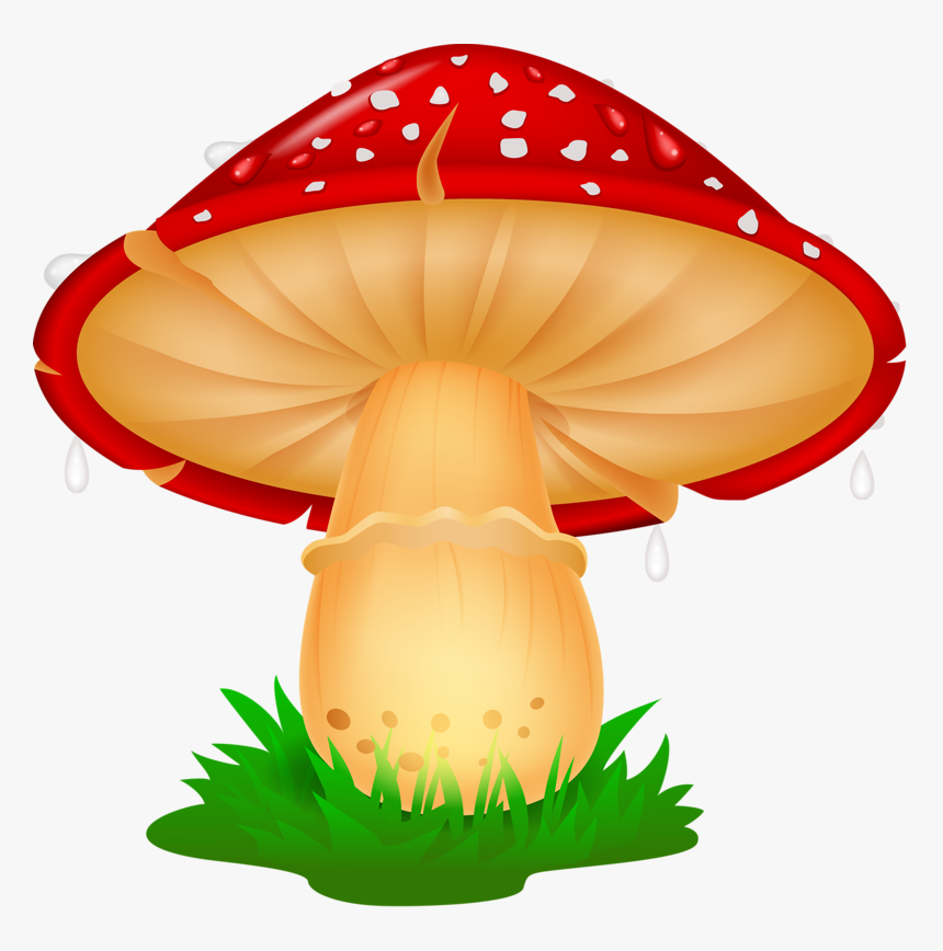 Png Pinterest Clip - Mushroom Clipart Png, Transparent Png