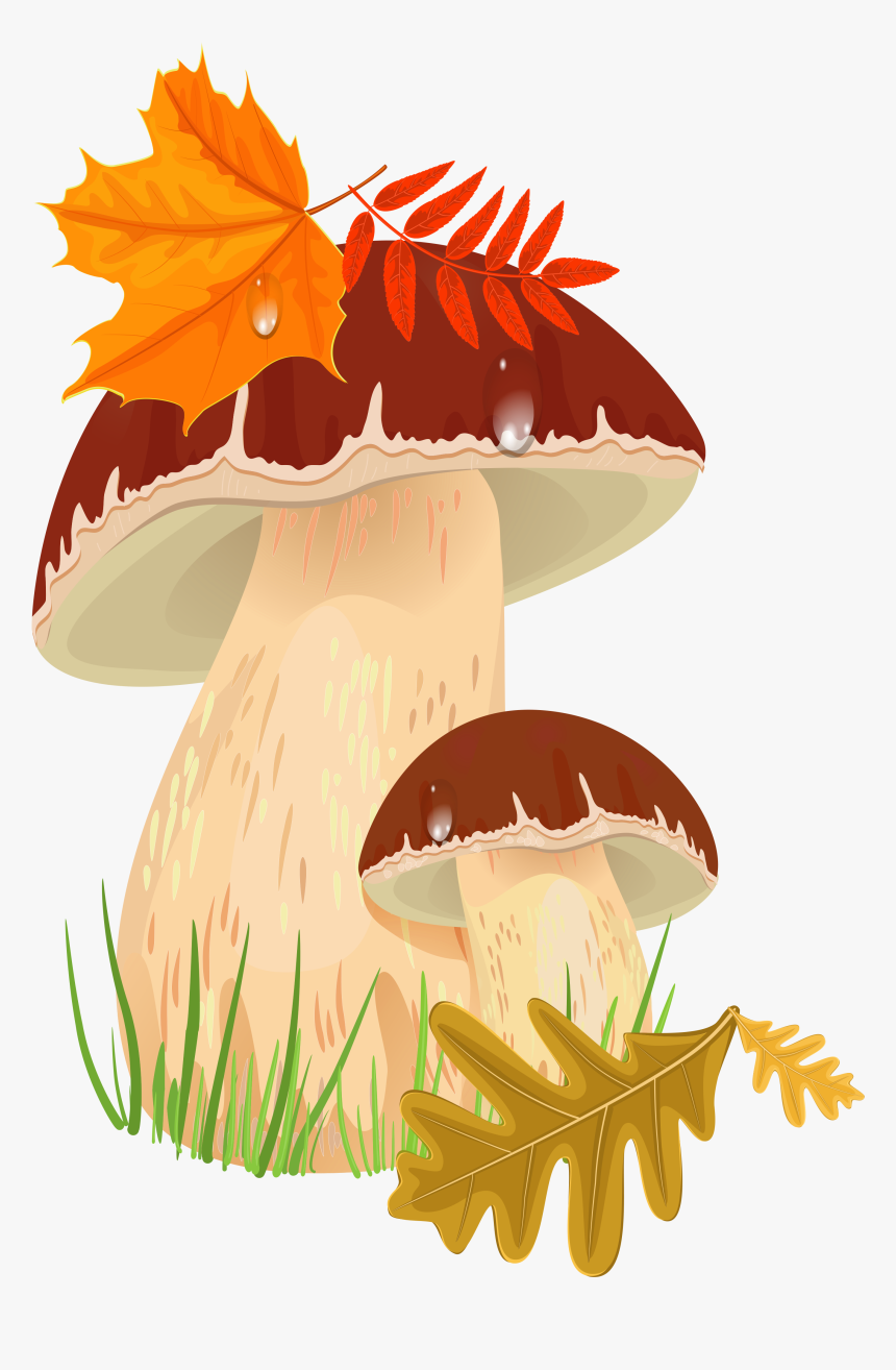 Fall Png Picture Gallery - Autumn Mushrooms Clipart, Transparent Png
