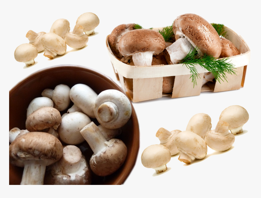 Mushroom Food Hd, HD Png Download