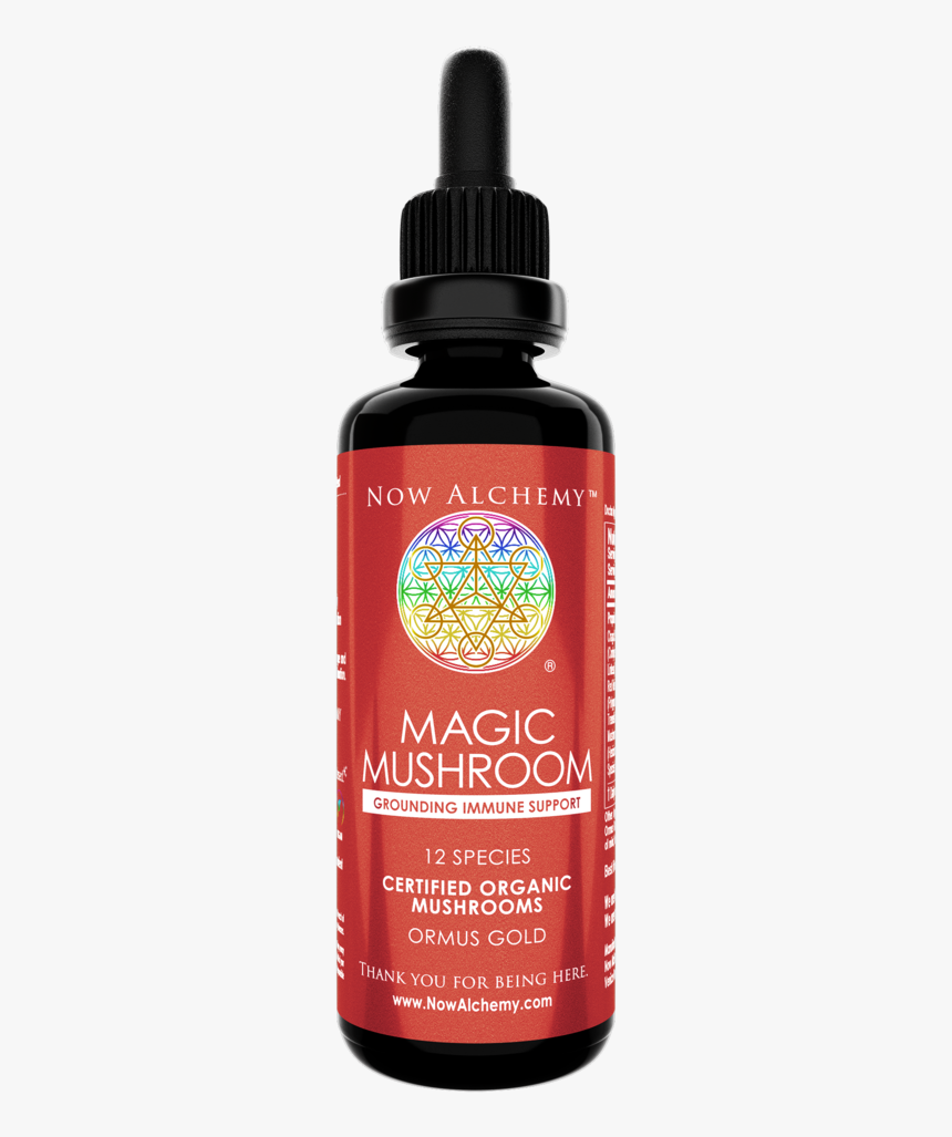 Bottle, HD Png Download