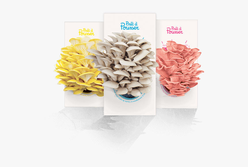 Pret A Pousser, HD Png Download