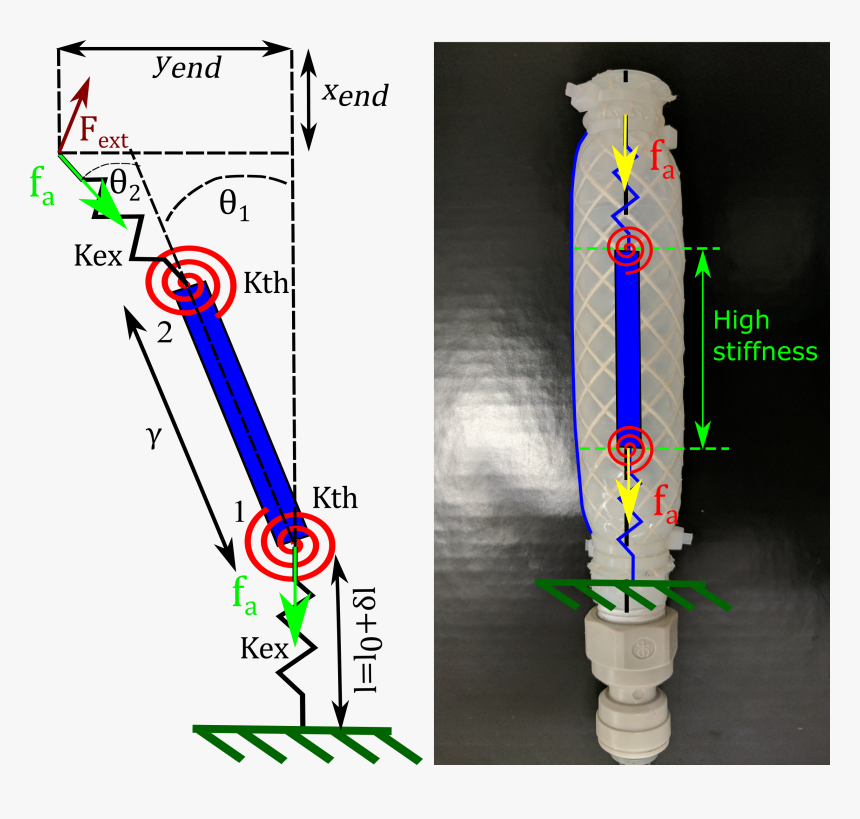 Longboard, HD Png Download