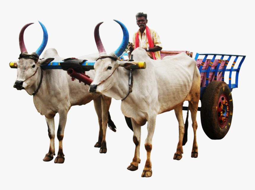 Bullock Cart Image Png, Transparent Png