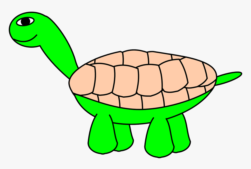 Cartoon Turtle, HD Png Download