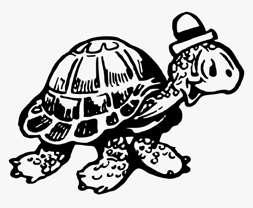 Tortoise 2 Clip Arts - Turtle, HD Png Download