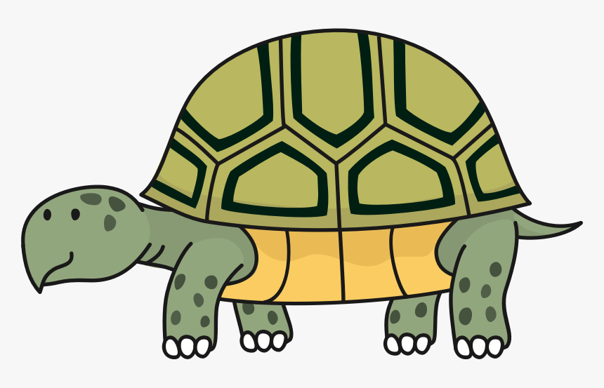 Tortoise Images Clip Art, HD Png Download