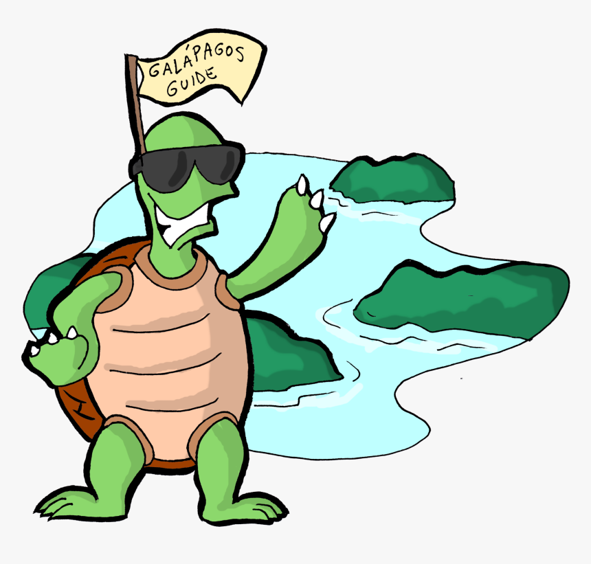 Tortoise Clipart Turtoise - Cartoon, HD Png Download