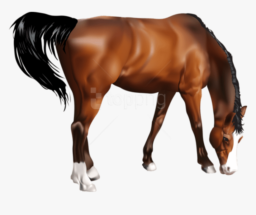 Transparent Horse Png - Portable Network Graphics, Png Download