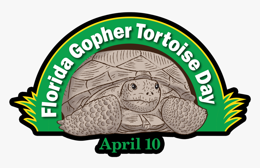 Gopher Tortoise Day - Florida Gopher Tortoise Day, HD Png Download