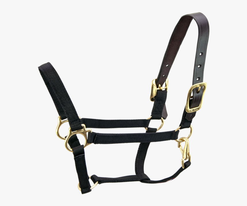 Breakaway 3/4 - Horse Halter No Background, HD Png Download