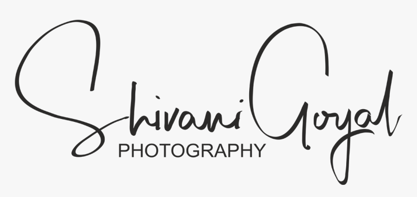 Logo Header Menu - Transparent Photographer Logo Png, Png Download