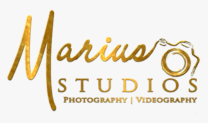 Logo Photography Gold Png, Transparent Png