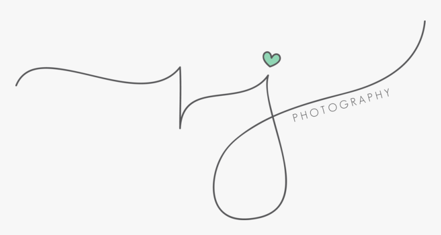 Photography Png Images, Transparent Png