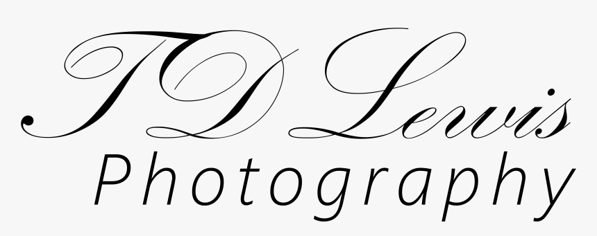 Untitled-1 - Line Art, HD Png Download