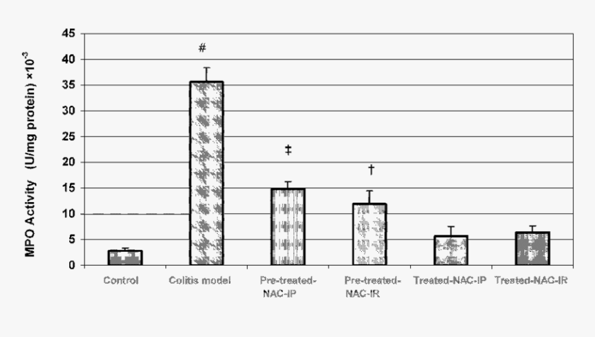 Diagram, HD Png Download