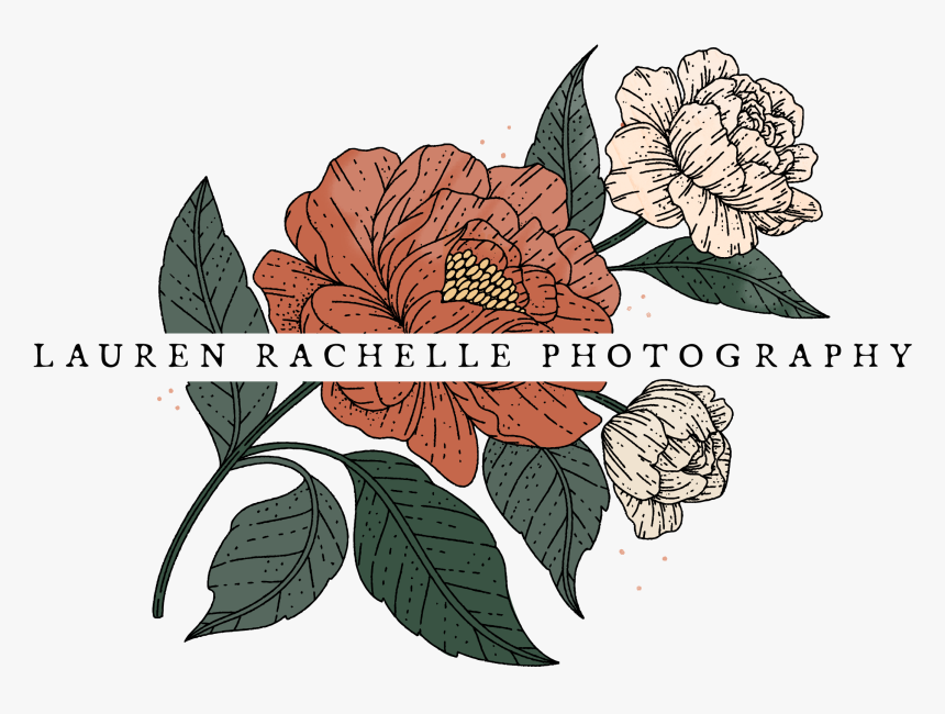 Lauren Rachelle Wedding Photography - Illustration, HD Png Download