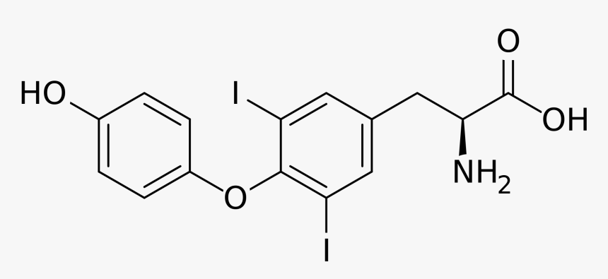 Naringenin 7 O Glucoside, HD Png Download