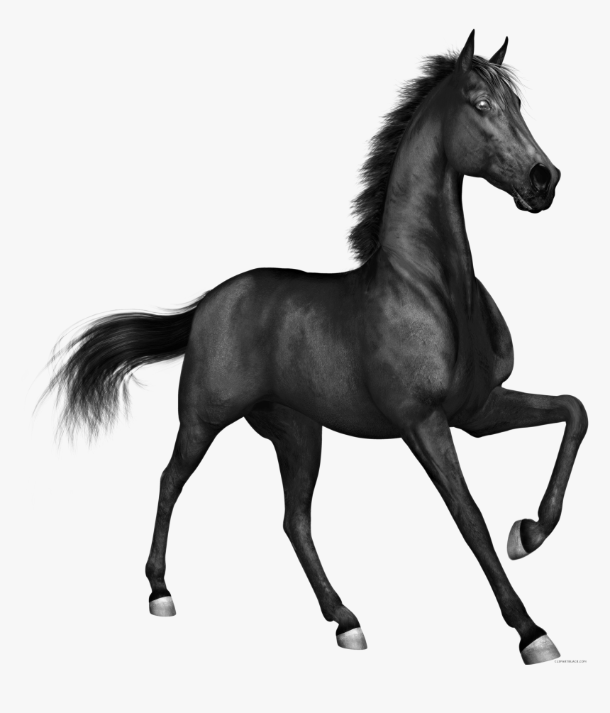 Horse Page Of Clipartblack Com Animal Free - Black Horse Png Hd, Transparent Png