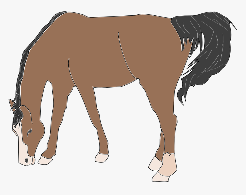 Frames Illustrations Hd Images - Clip Art Horse Eating, HD Png Download