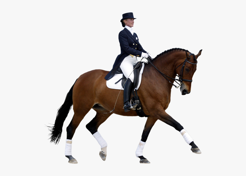 V - 0 - 8 346 - 7 Kbytes - Horse Riding, Mob Hd - Horse Dressage Png, Transparent Png