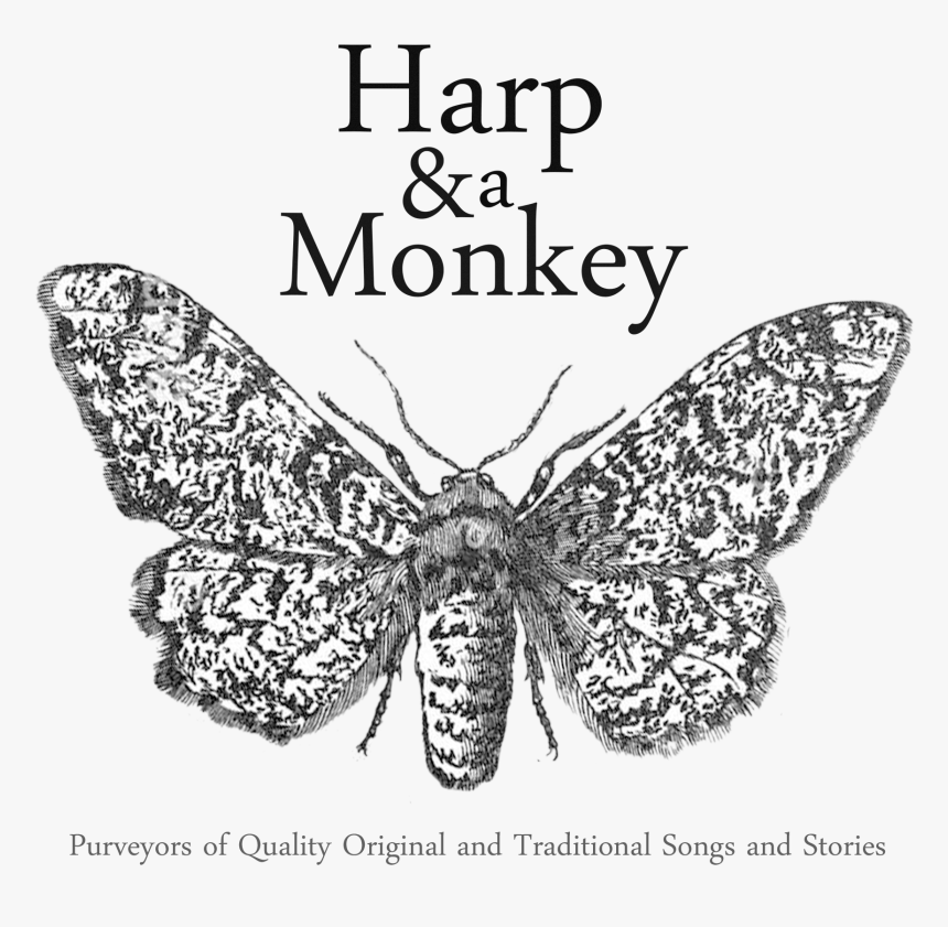 Speckled Wood (butterfly, HD Png Download