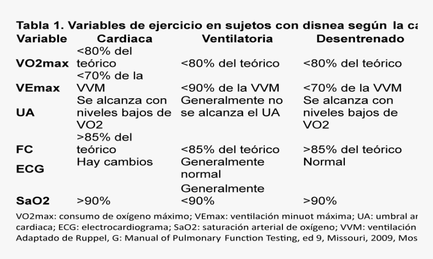 Screenshot, HD Png Download