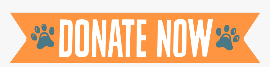 Picture - Amber, HD Png Download