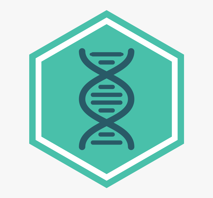 Life Sciences - Seattle Public Library, HD Png Download
