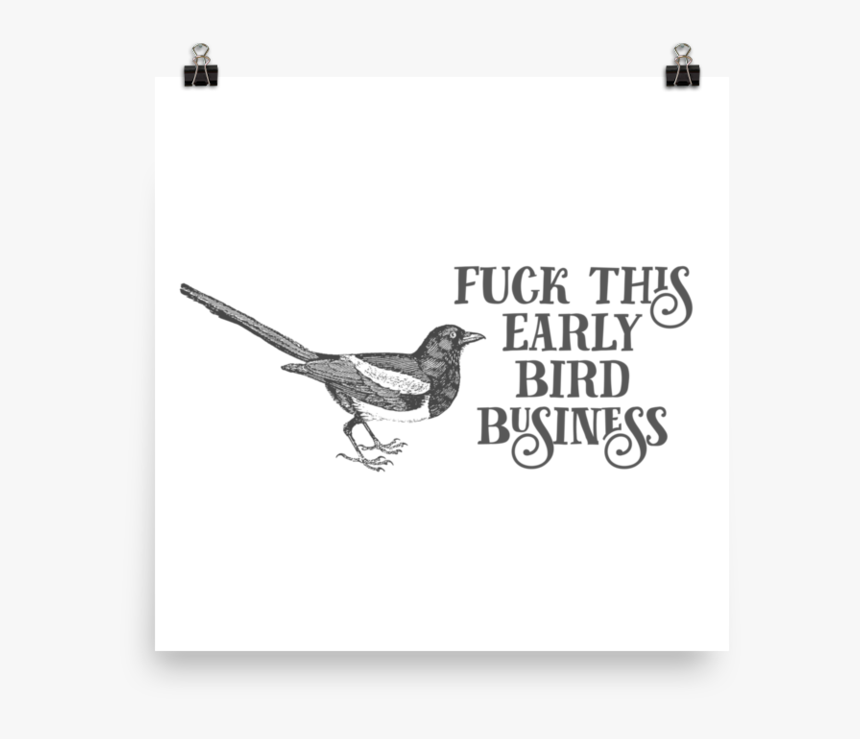 Early Bird 
 Srcset Data - Junco, HD Png Download