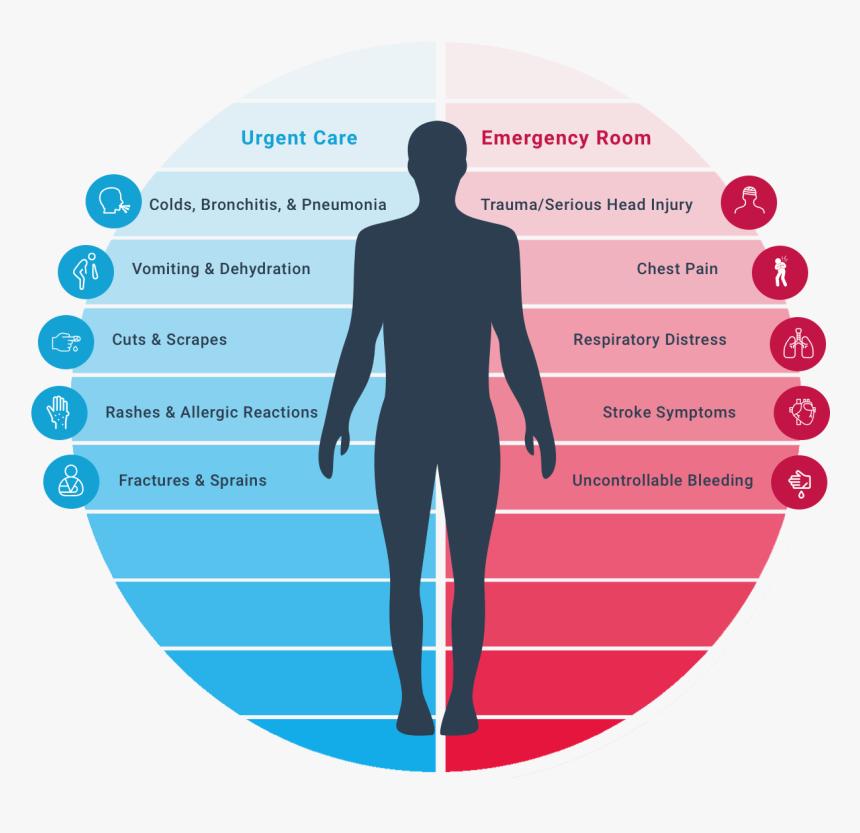 Graphic Design, HD Png Download