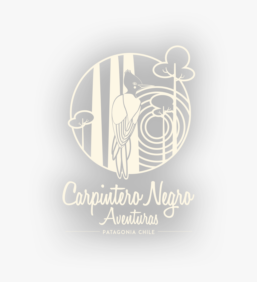 Graphic Design, HD Png Download