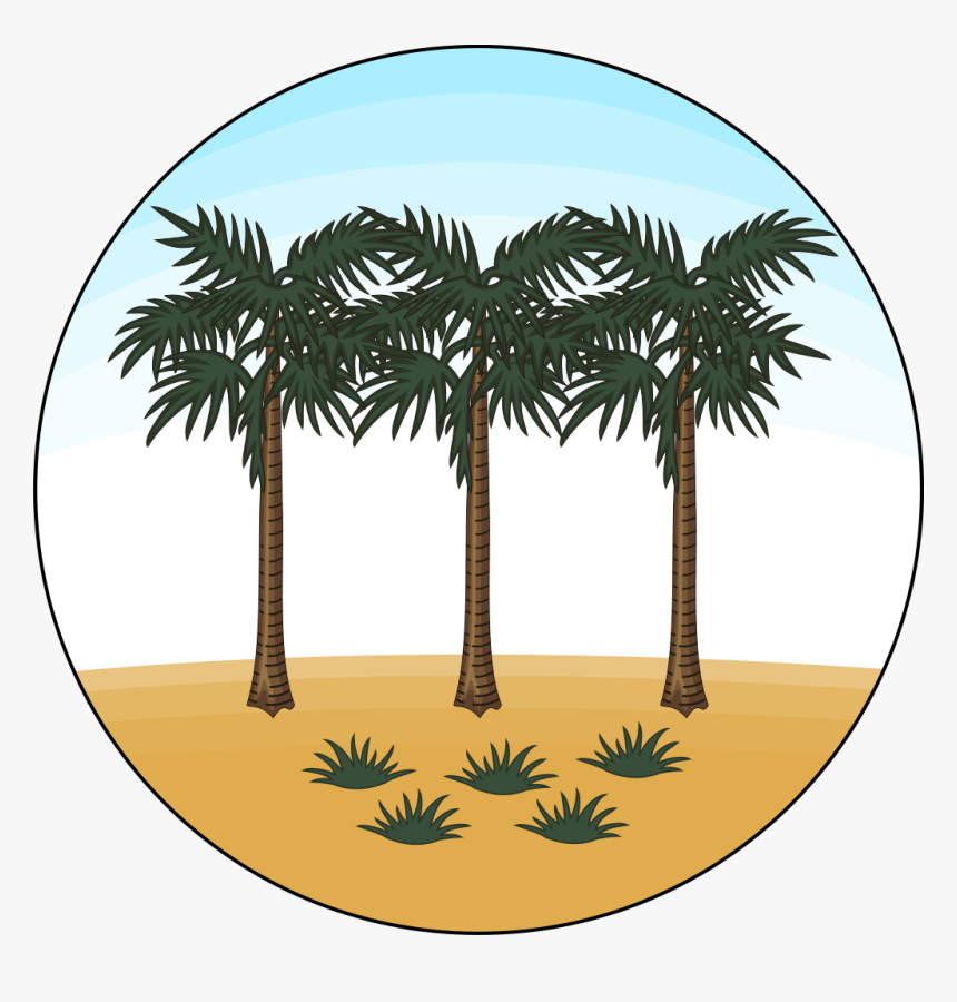 Attalea Speciosa, HD Png Download