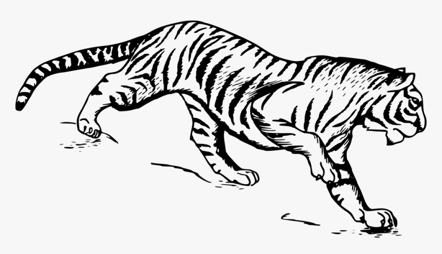 Picture Library Download Flute Clipart Mayilpeeli - Tiger Drawing Png, Transparent Png