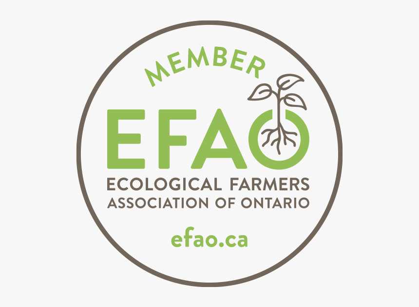 Efaomember - Circle, HD Png Download