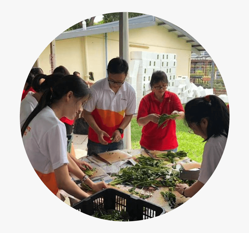 Child, HD Png Download