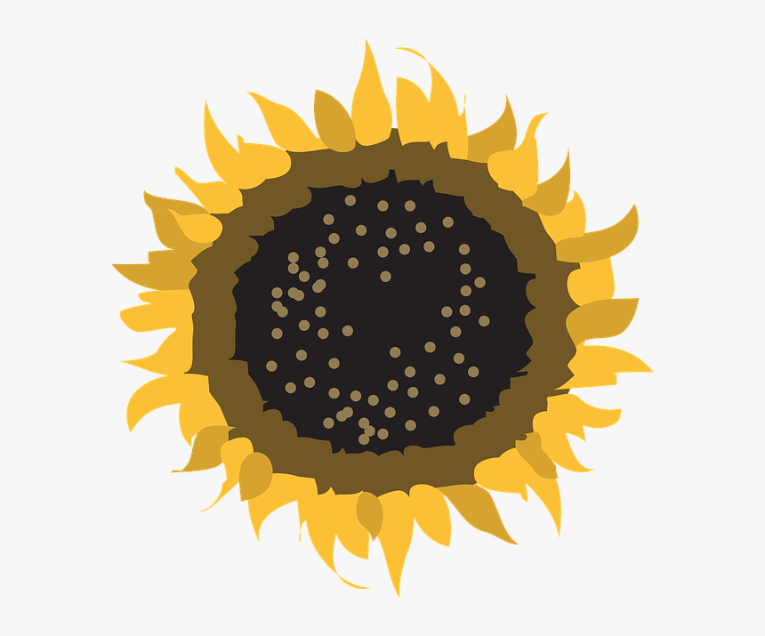Flower, Symbol, Sun, Nature, Design, Sign, Natural - Mooiweer, HD Png Download