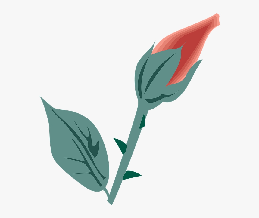 Flower, Symbol, Icon, Design, Flat, Decoration, Nature - Festa Della Mamma 2009, HD Png Download