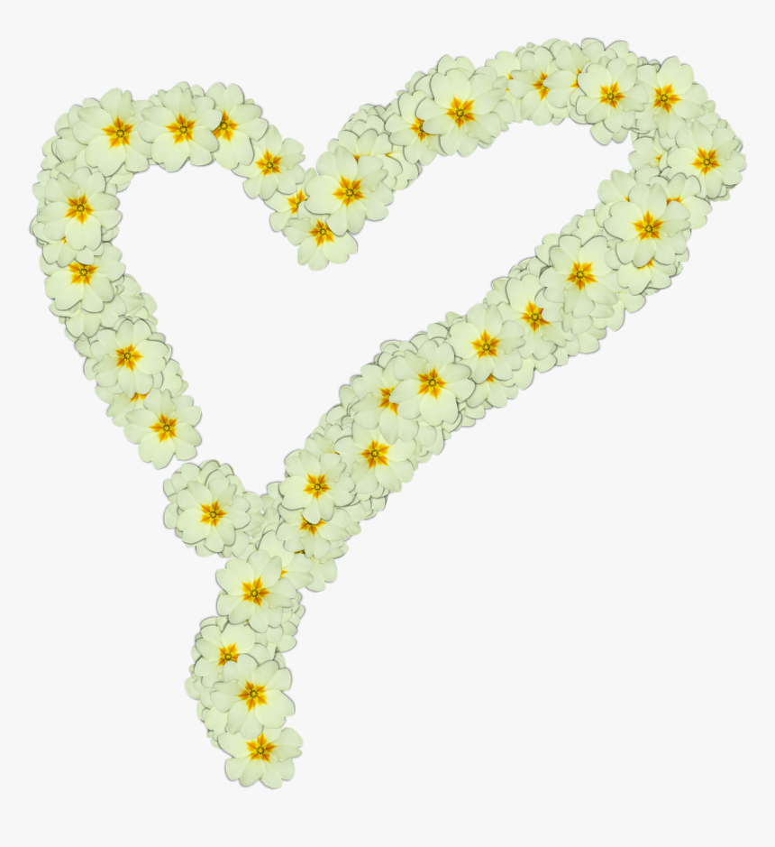 Heart Made Of White Flowers - Corazón De Flores Y Png, Transparent Png