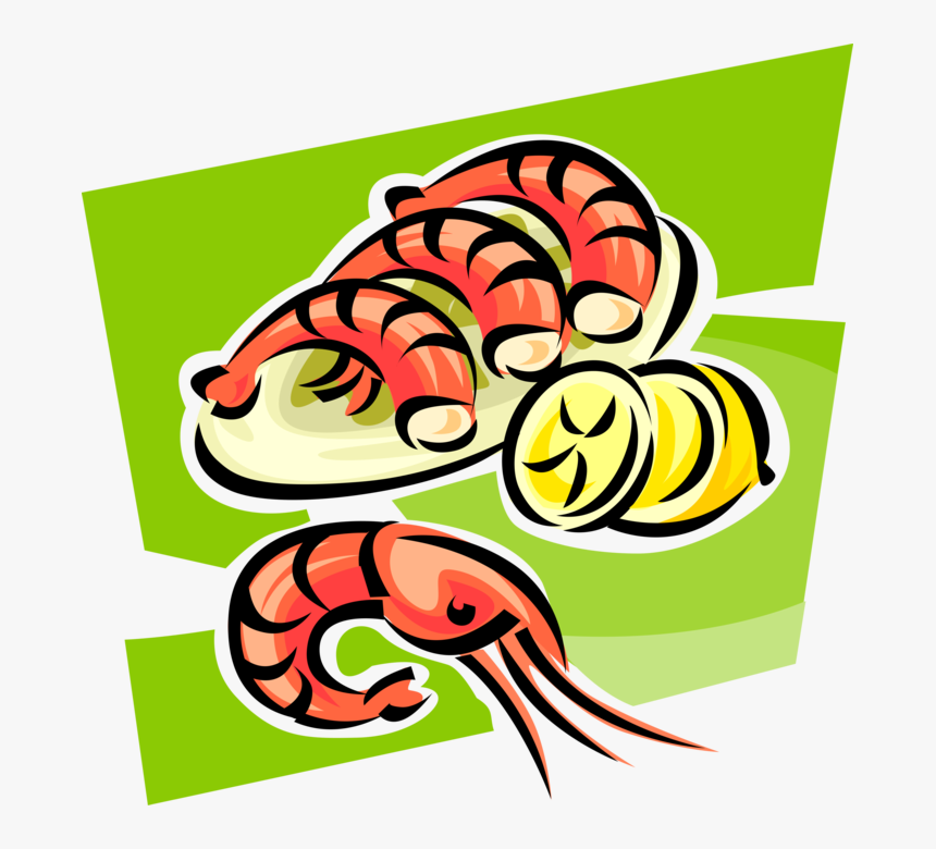 Vector Illustration Of Decapod Marine Crustacean Prawn, HD Png Download