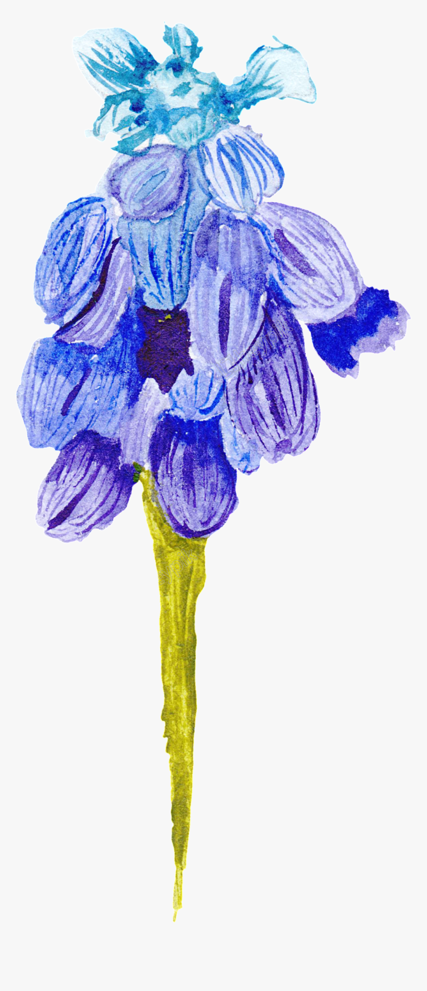 Wildflower Vector Blue Flower - Lily, HD Png Download