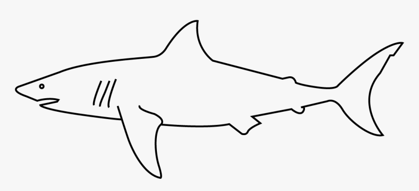 Great White Shark, HD Png Download