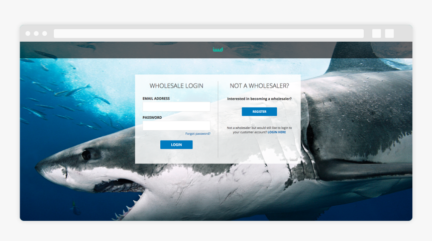 B2b Login Page - Facebook Cover Photo Shark, HD Png Download
