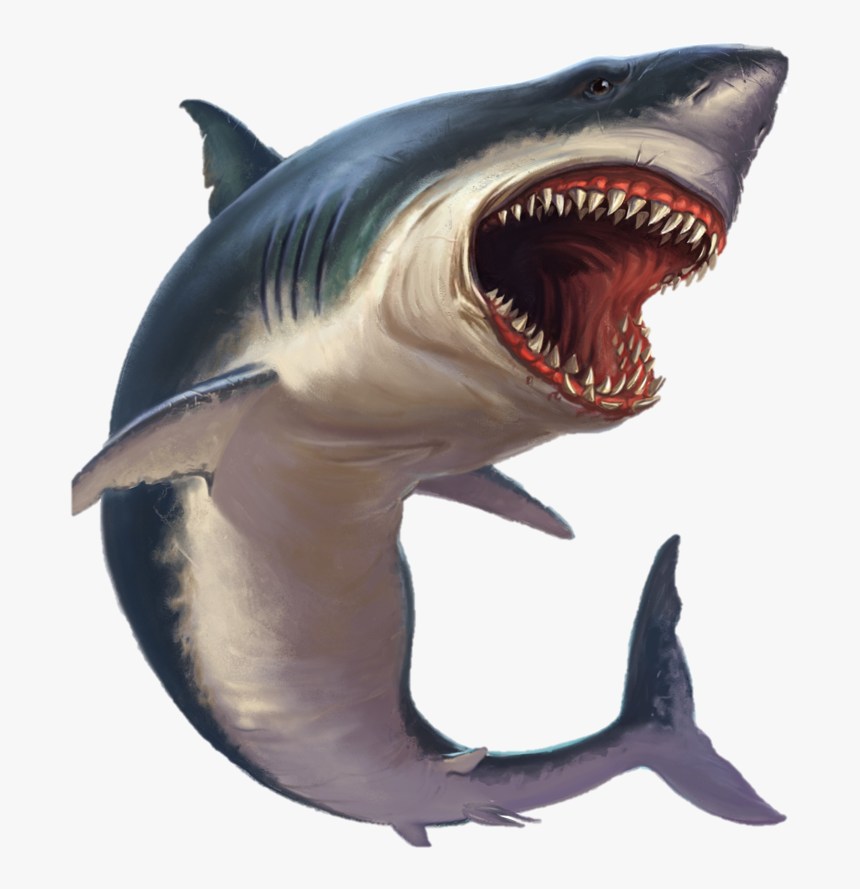 Great White Shark, HD Png Download
