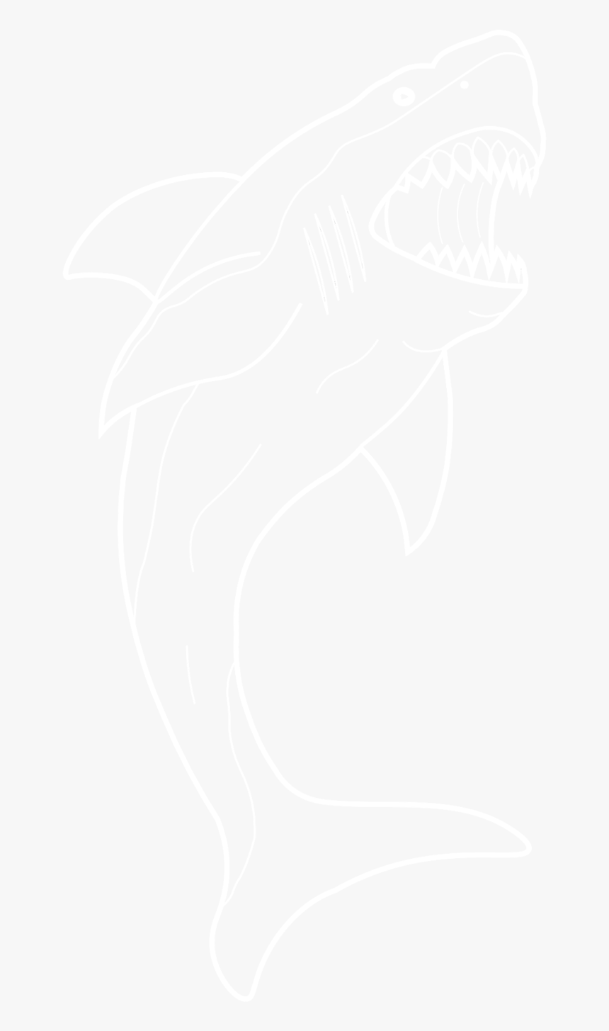 White Shark Png, Transparent Png